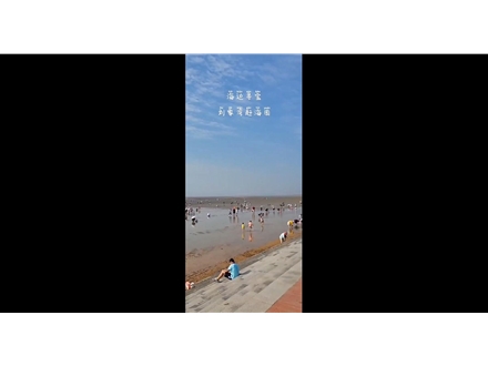 海邊尋寶，劉家灣趕海園—泰安金輝國旅