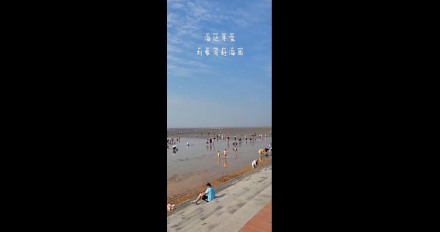 海邊尋寶，劉家灣趕海園—泰安金輝國(guó)旅